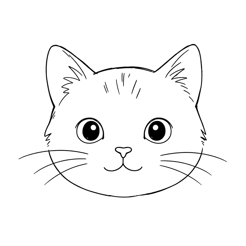 猫咪